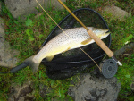 dsc00998.jpg