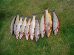 ganlar_3082.jpg