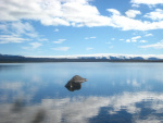 haust2013_007_fram_i_drogum.jpg